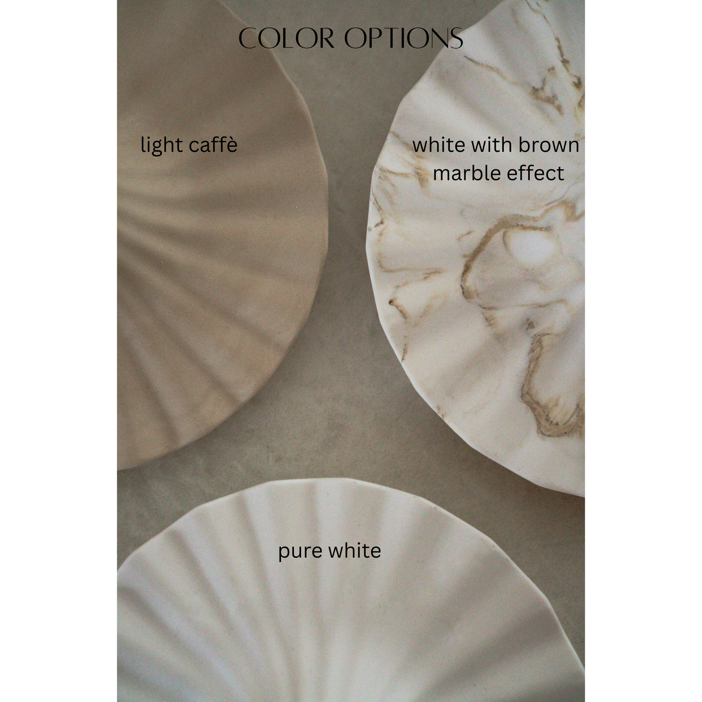 Shell Tray