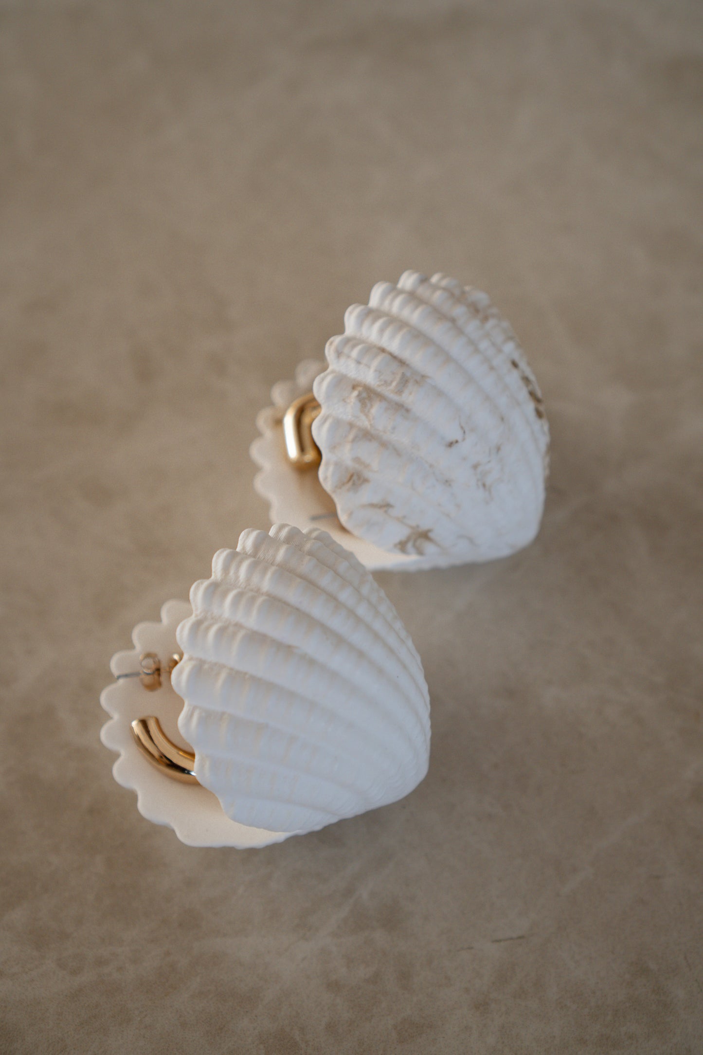 Shell Dish