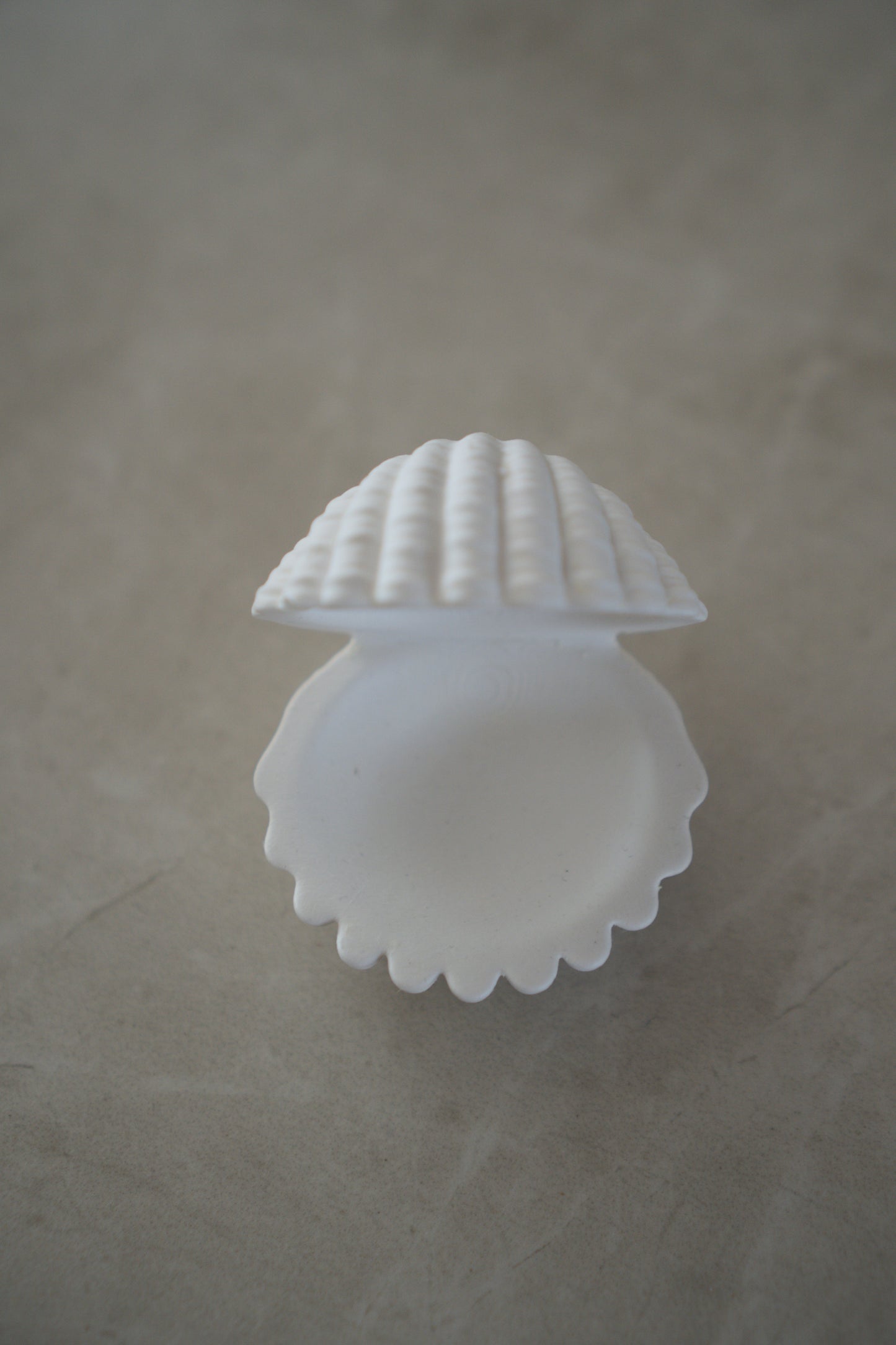 Shell Dish