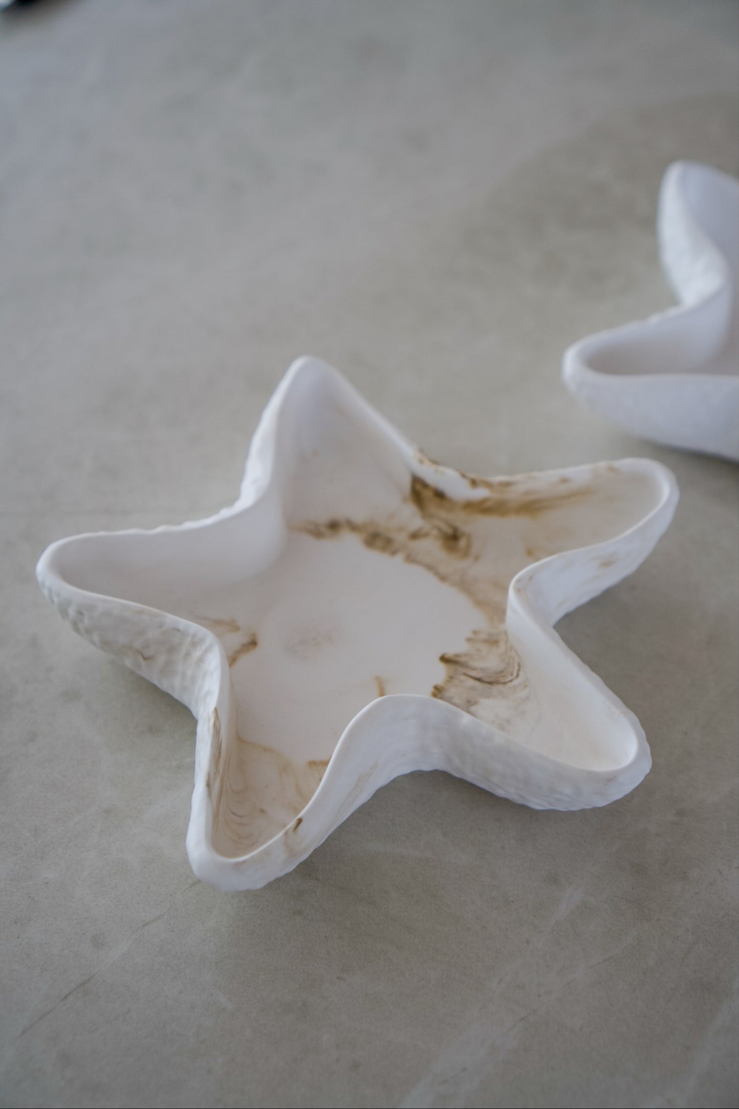 Sea Star Tray