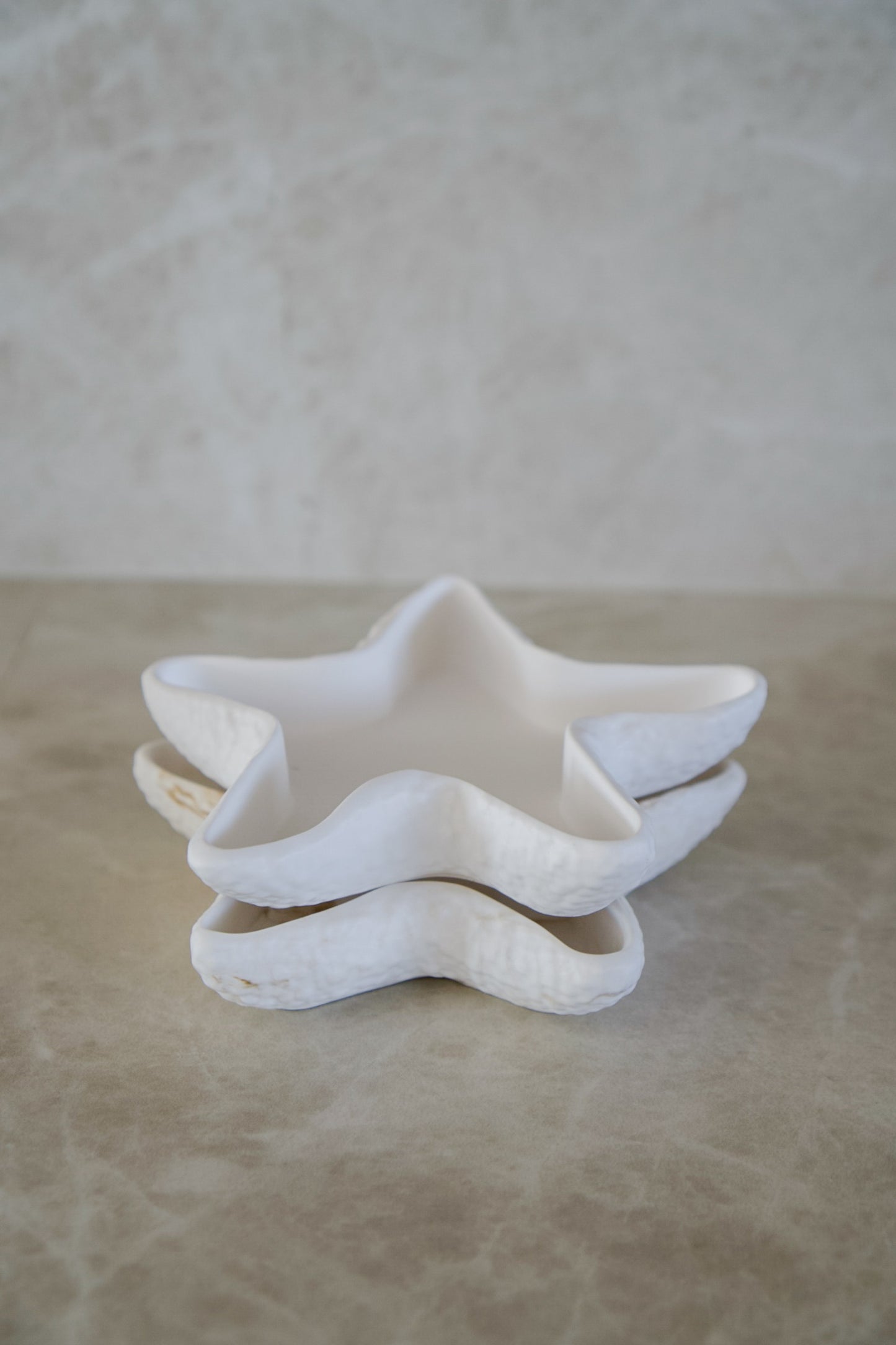 Sea Star Tray