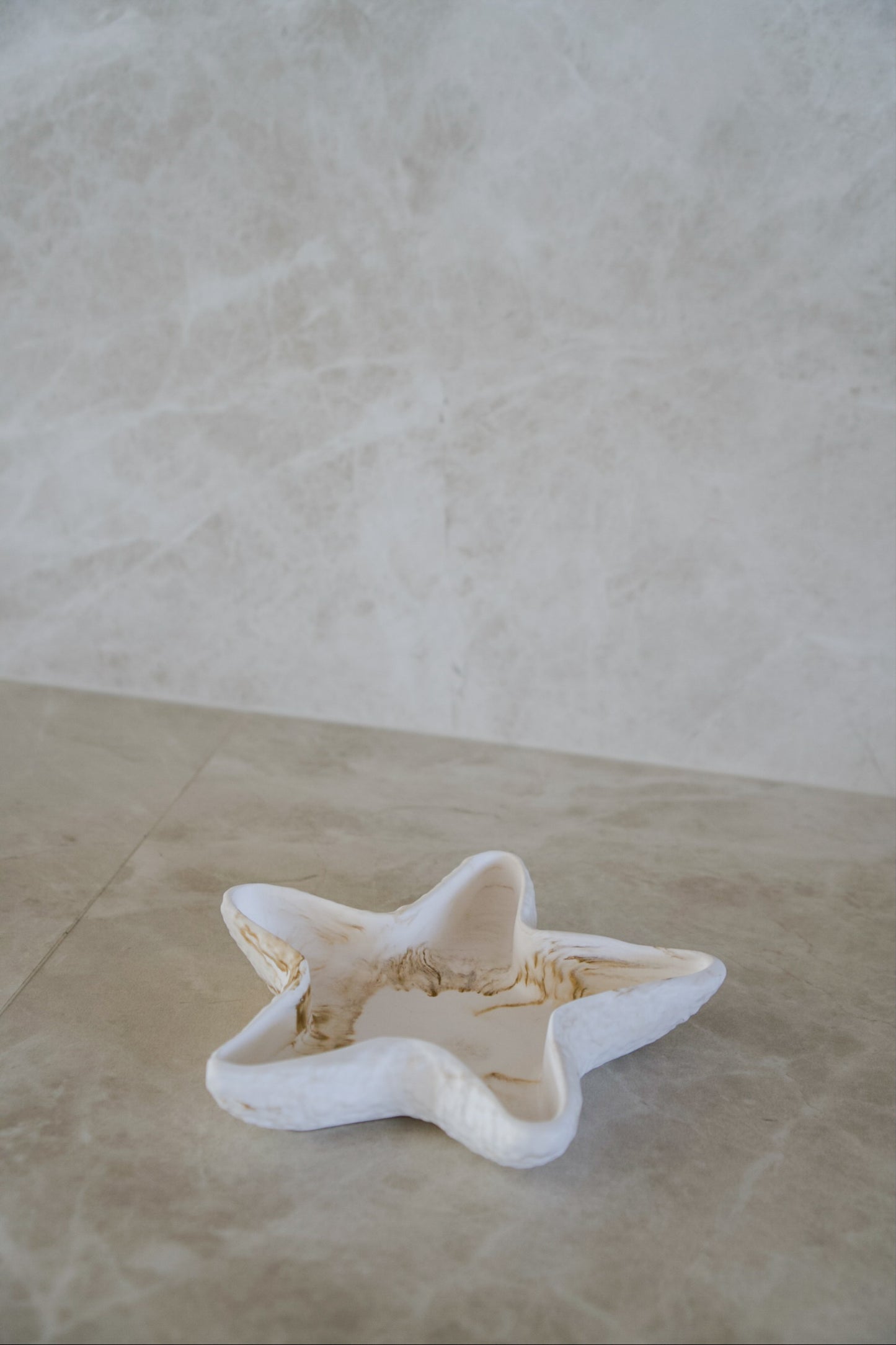 Sea Star Tray