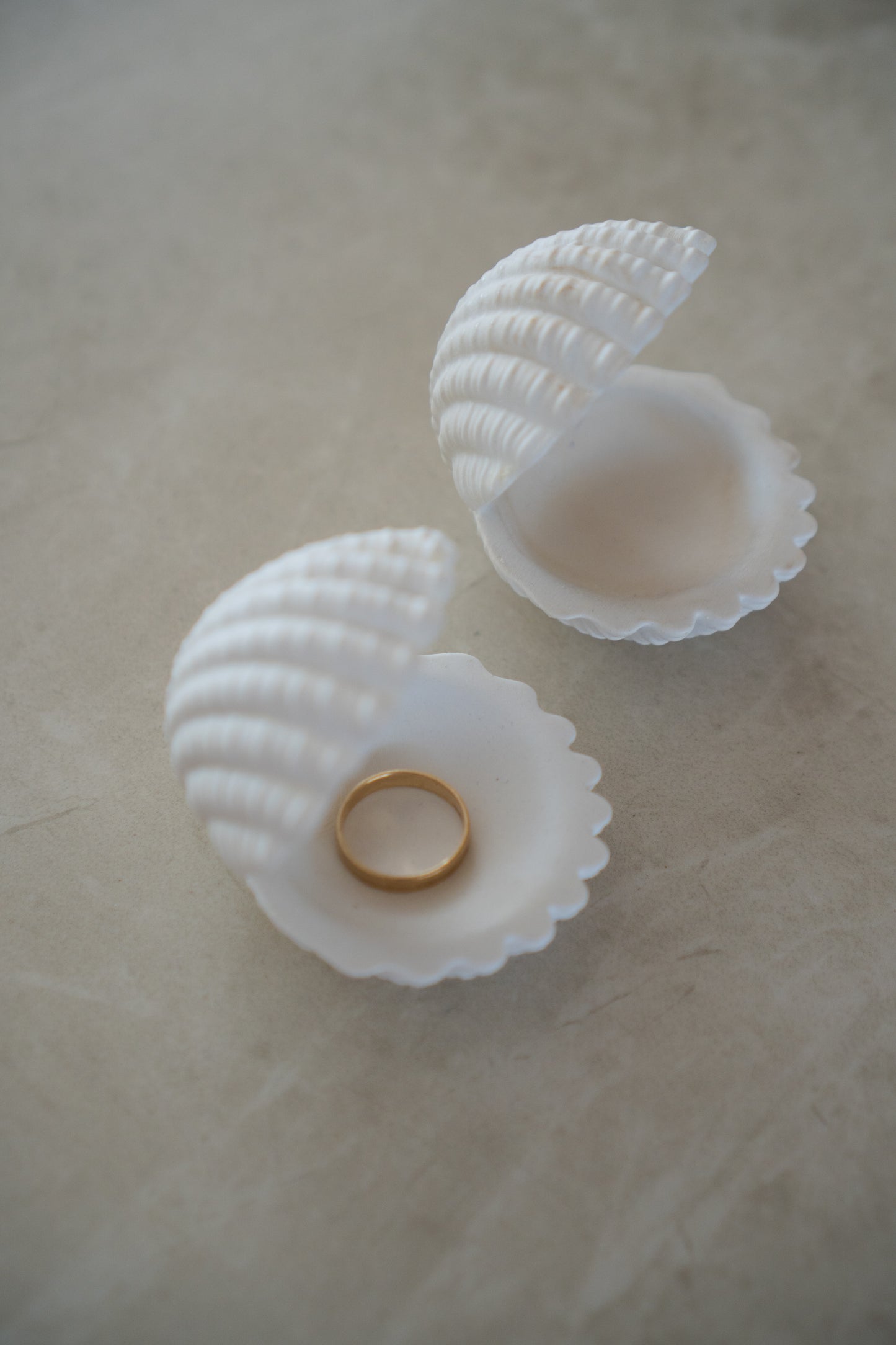 Shell Dish
