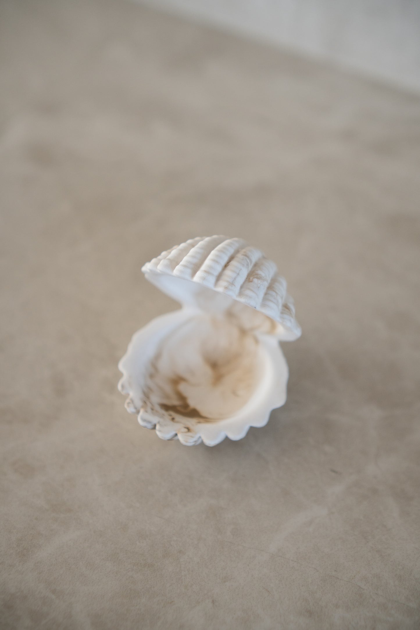 Shell Dish