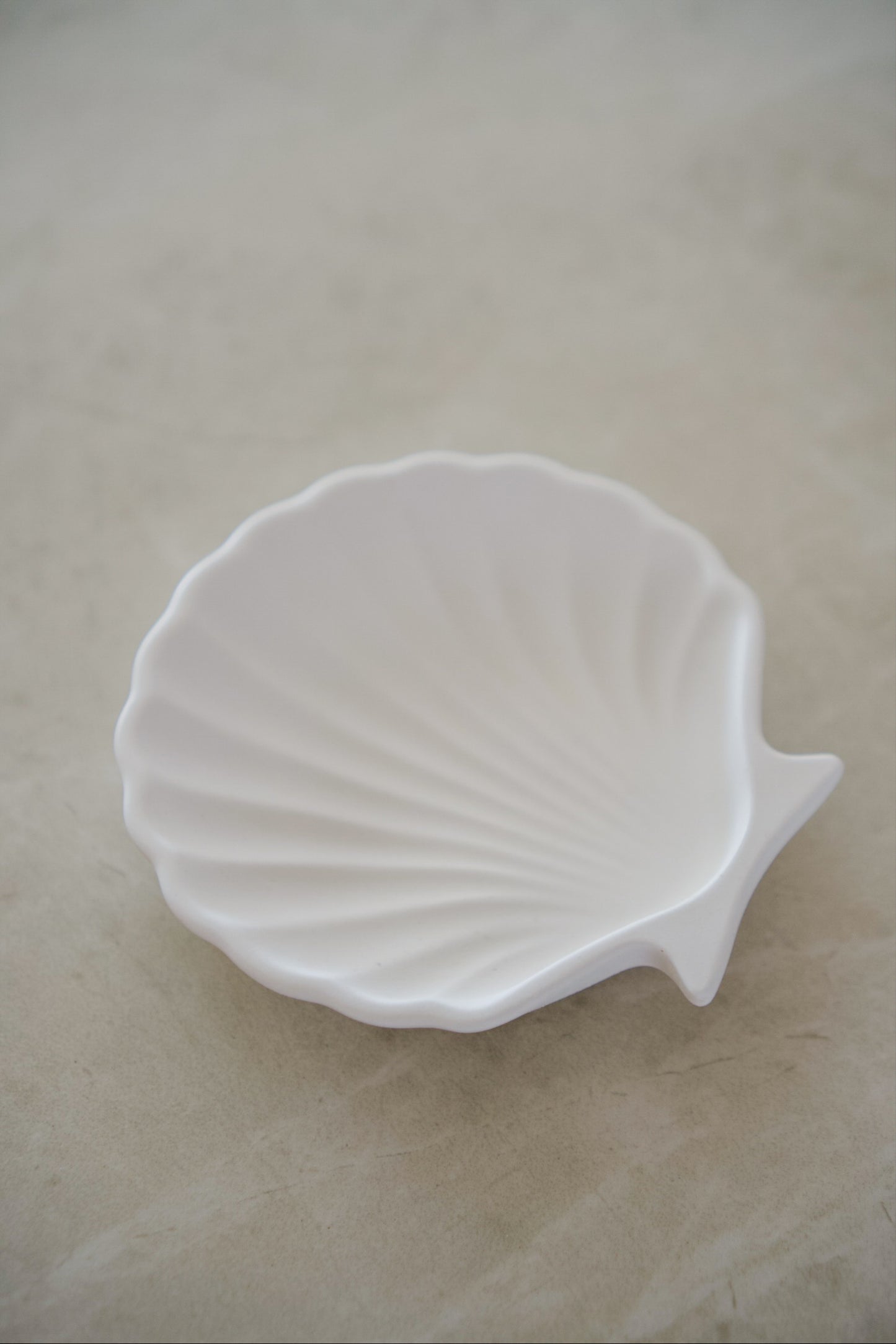Shell Tray
