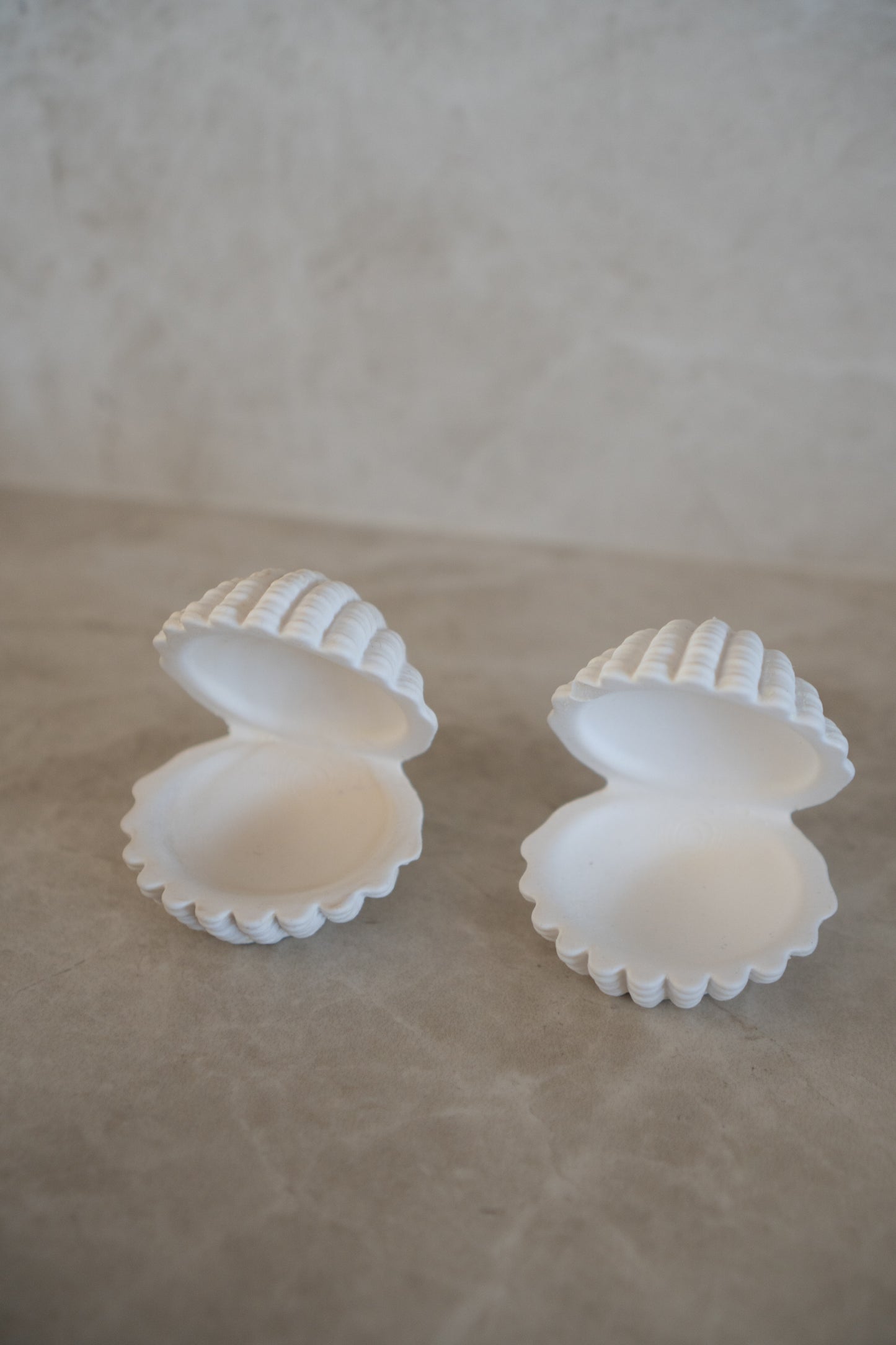 Shell Dish