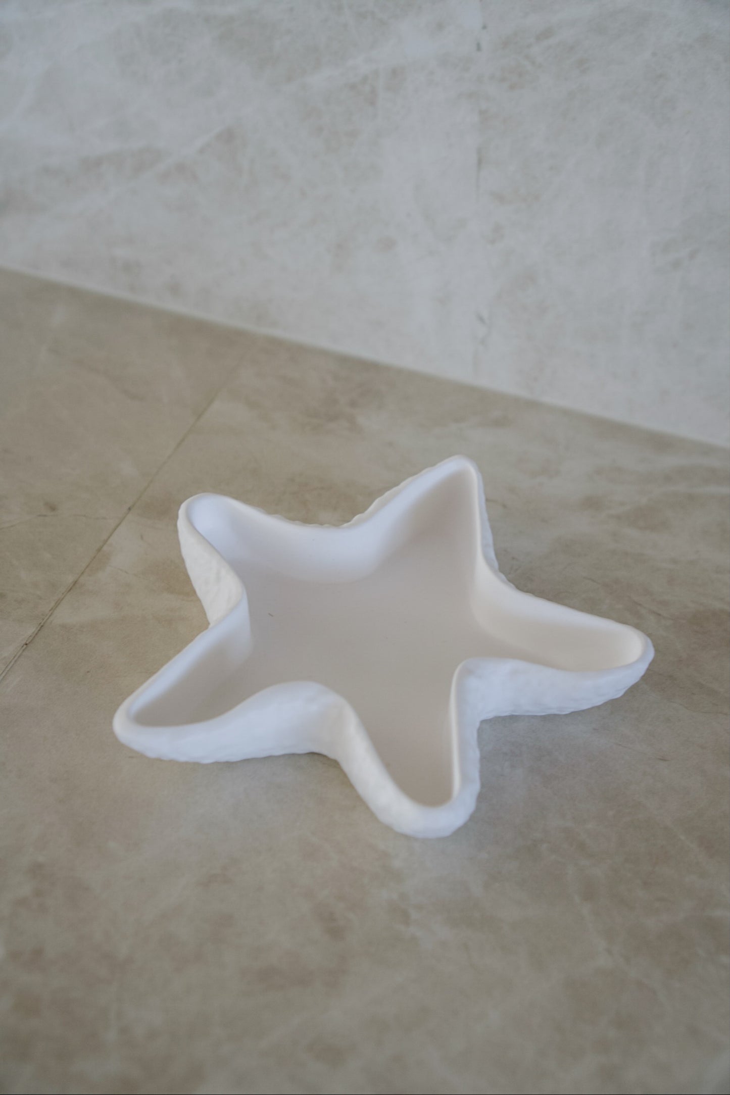 Sea Star Tray