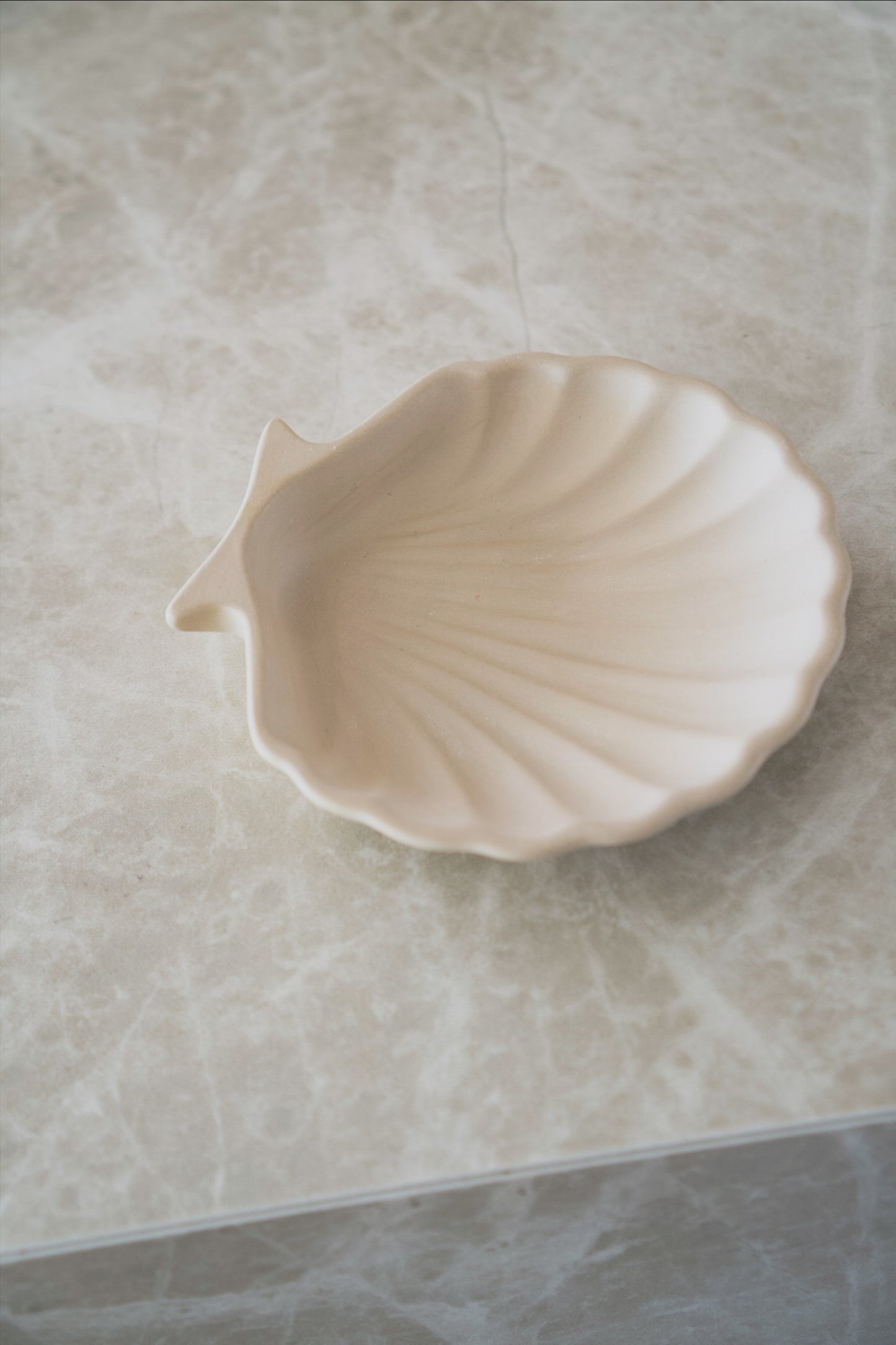 Shell Tray