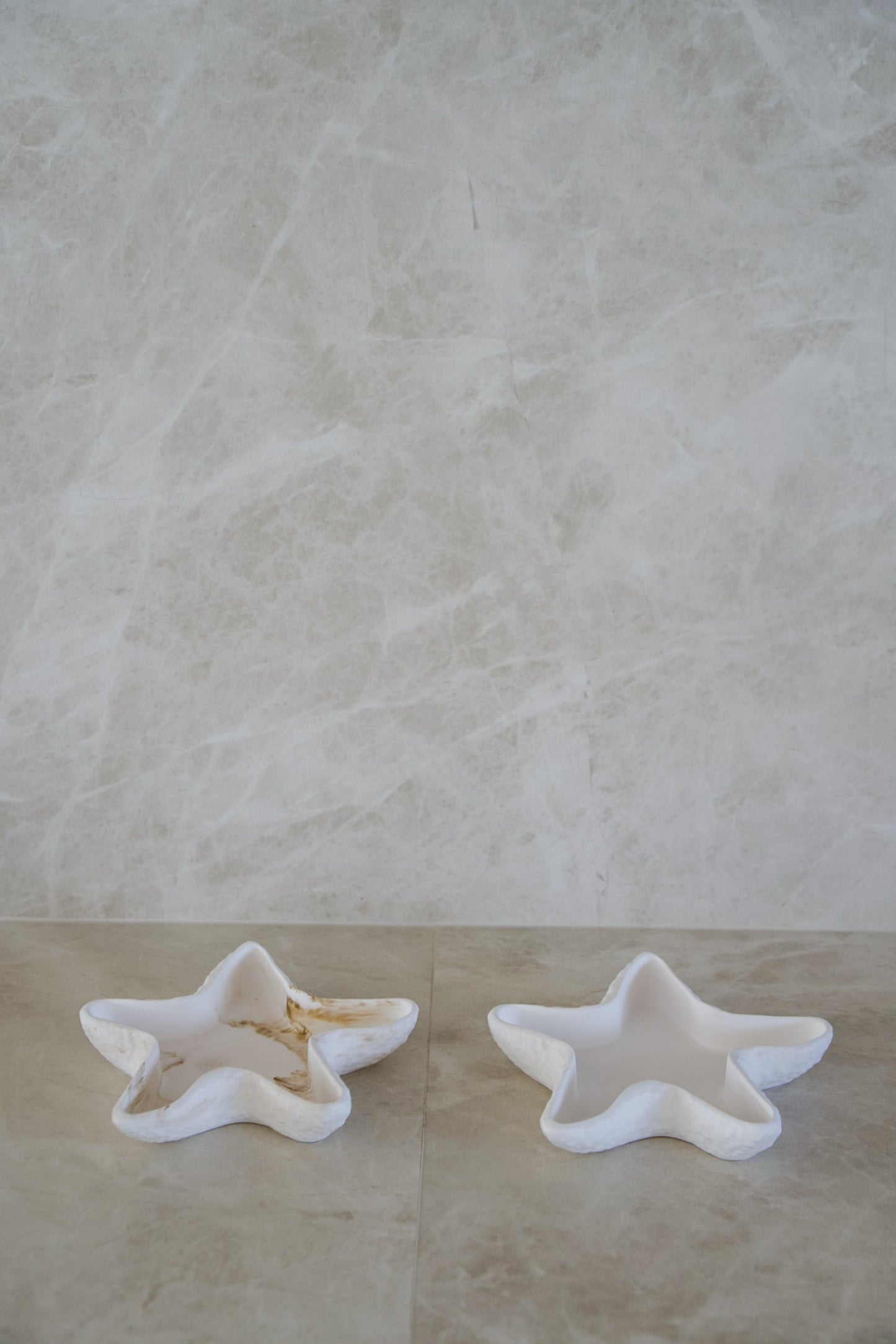 Sea Star Tray