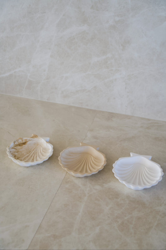 Shell Tray