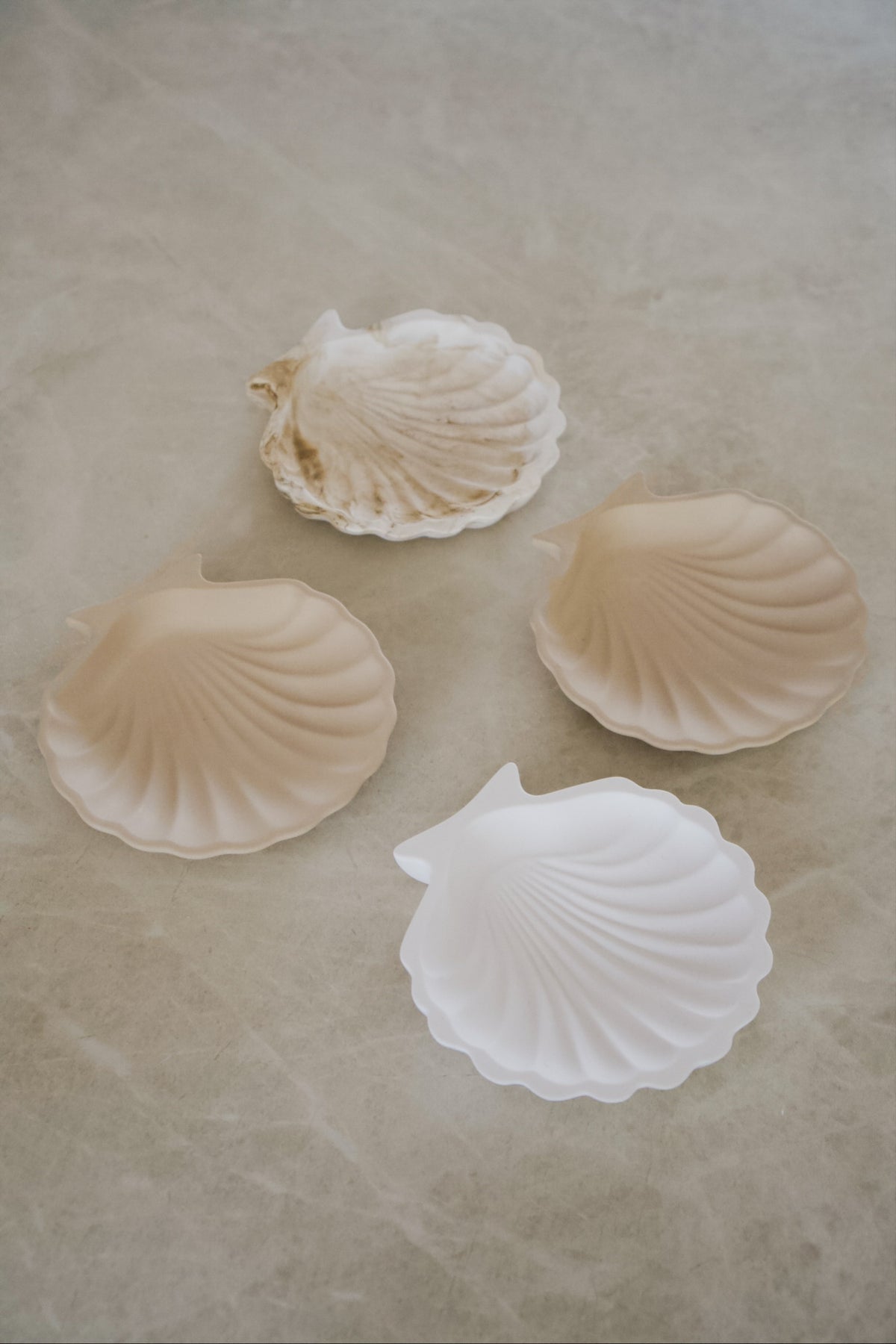 Shell Tray