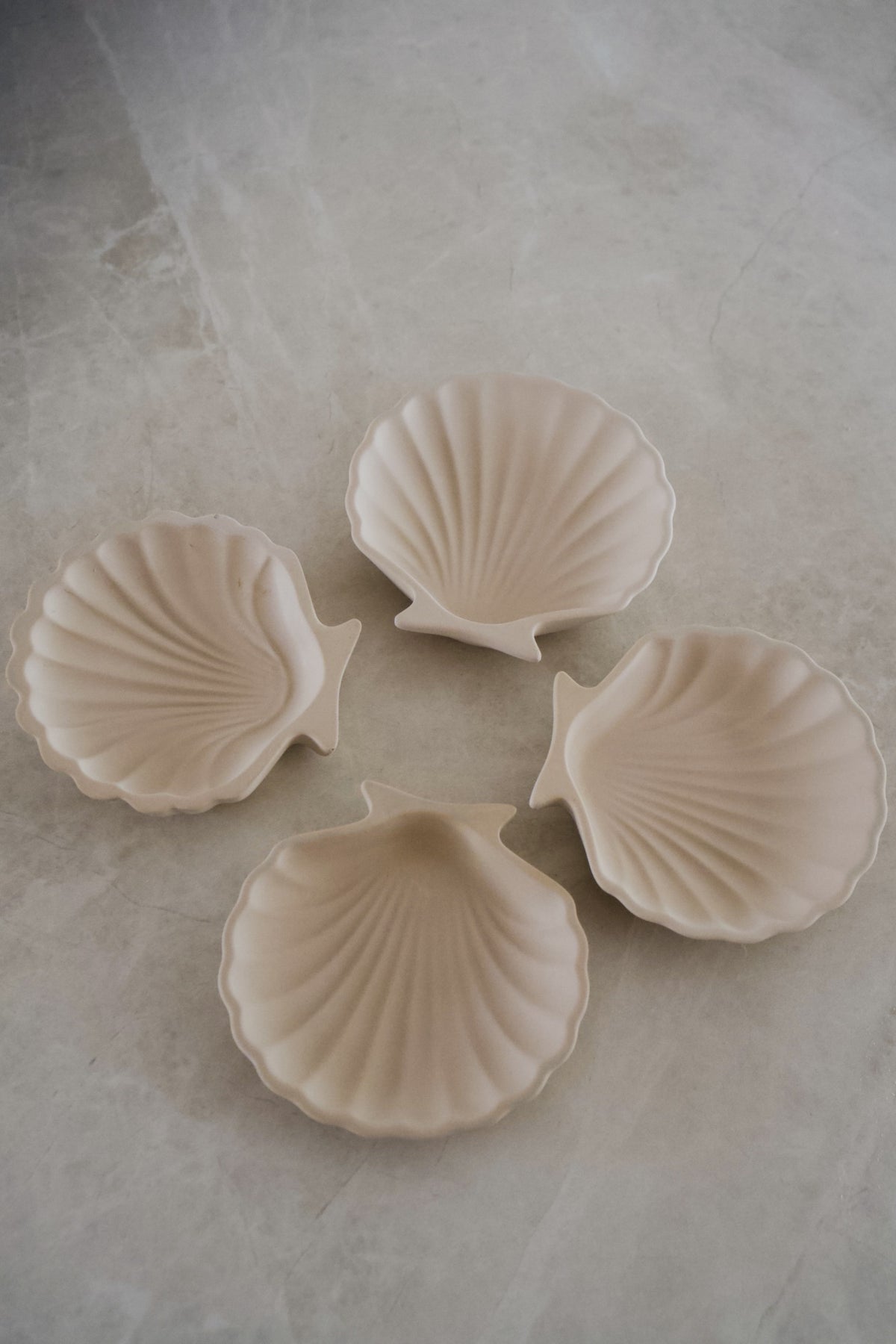 Shell Tray