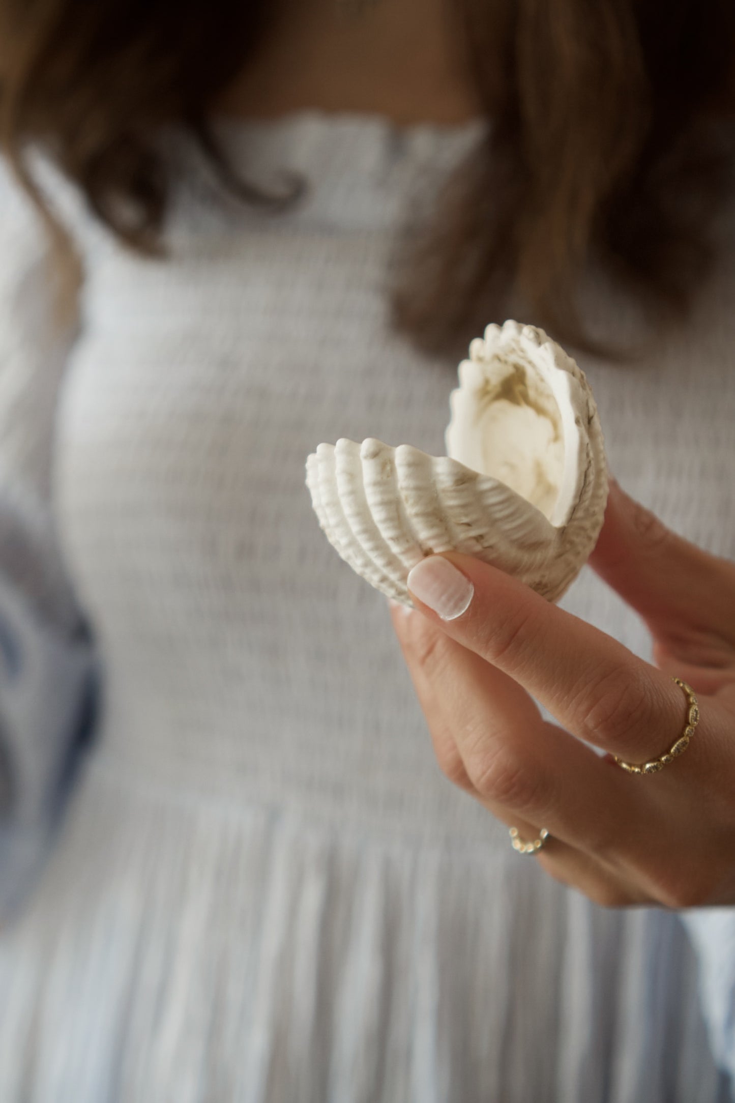 Shell Dish