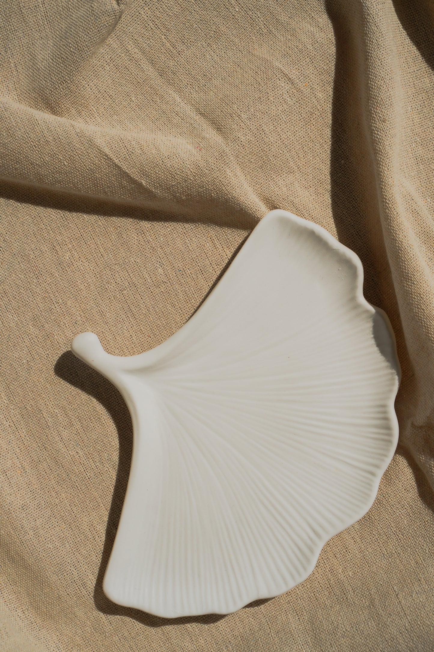 GINGKO Tray