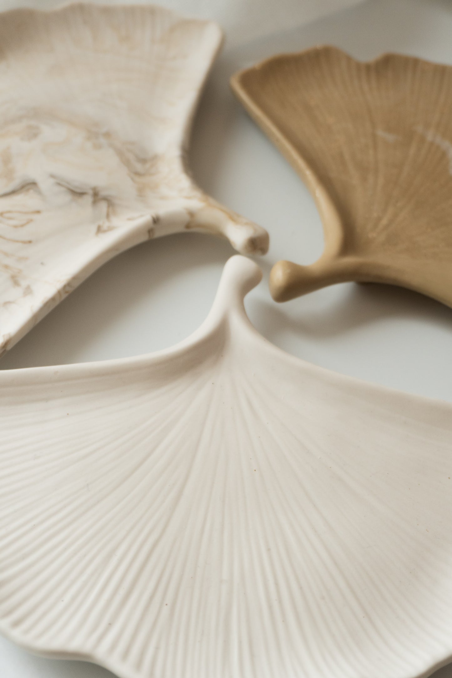 GINGKO Tray