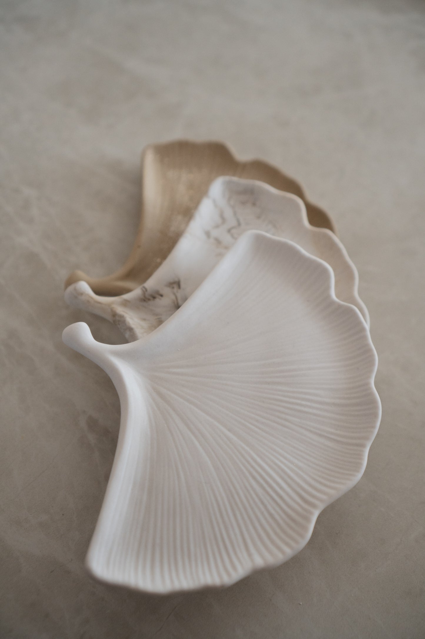 GINGKO Tray