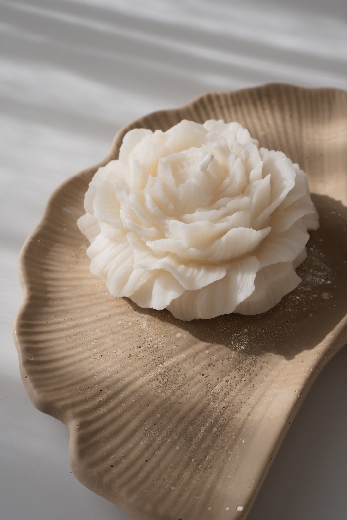 GINGKO Tray